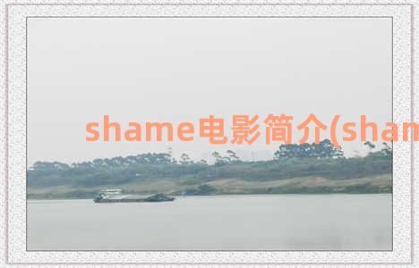 shame电影简介(shame 豆瓣)